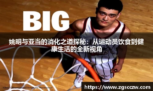 姚明与亚当的消化之道探秘：从运动员饮食到健康生活的全新视角