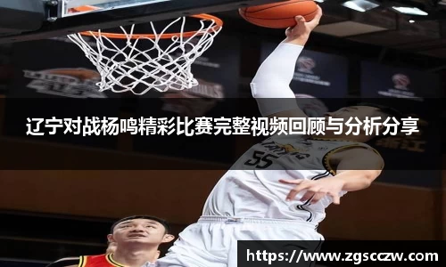 辽宁对战杨鸣精彩比赛完整视频回顾与分析分享