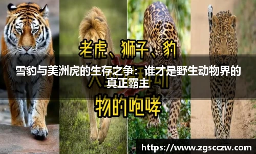 雪豹与美洲虎的生存之争：谁才是野生动物界的真正霸主